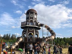 -上海长兴岛郊野公园