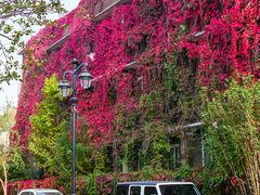 -天津五大道文化旅游区