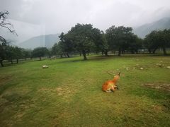 -西安秦岭野生动物园