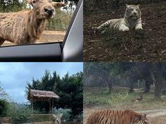 -乐和乐都主题乐园