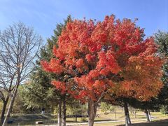 -长春世界雕塑园冰雪艺术天地