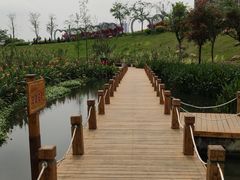 -那考河湿地公园