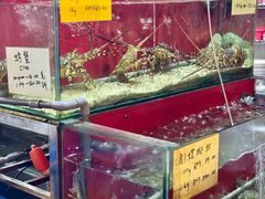 -大树下海鲜饭店