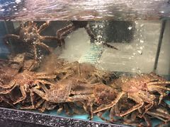 -鸿星花园酒家(银亿家园店)