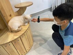 -Heymao猫咖.咖啡厅(东门店)