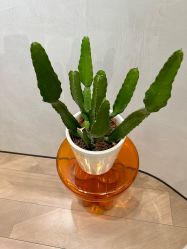 -MaisonFL·美颂法式专业美发艺术沙龙