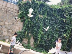 景点-鸽子窝公园