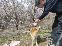 -长白岛森林公园