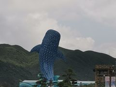 -珠海长隆海洋王国