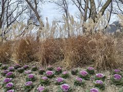 -西湖风景区-江洋畈生态公园