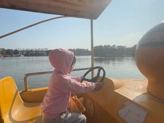 -上海长兴岛郊野公园