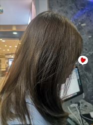 点击看大图 -YDO SALON