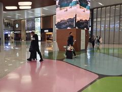 -杭州萧山国际机场