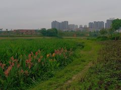 -那考河湿地公园