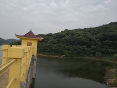 -青龙山国家森林公园
