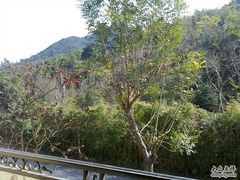 房间窗外－１-深圳东部华侨城茵特拉根酒店