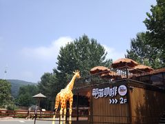 -大连森林动物园