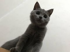 -恒康宠物医院(司背后街店)