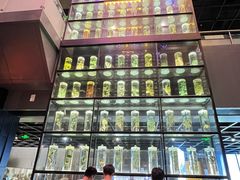 -广东中医药博物馆