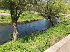 -前小桔亲子创意农场·草莓采摘·露营烧烤