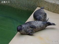 030320094643-绿色时代大酒店