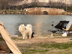 -白鹭园