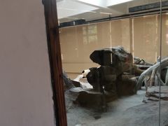 -宁波野生动物园
