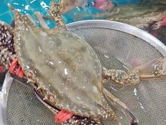 -渔码头食府(蓬莱阁店)
