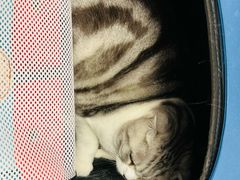 -美联众合爱康动物医院•复杂内科•肿瘤科•牙科•腔镜诊疗中心