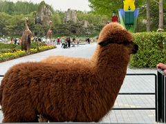 -北京野生动物园