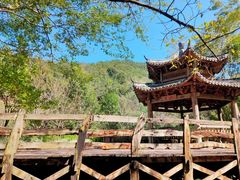 -雁南飞茶田景区