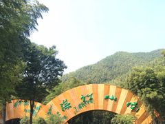 -天目湖松岭竹海漂流