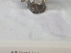 -上海自然博物馆