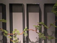 -璞·澐间影院式足道SPA(尚悦湾店)