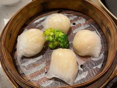 -若爱猪肚鸡·啫啫煲(循礼门M+店)