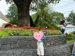 -苏州乐园森林水世界