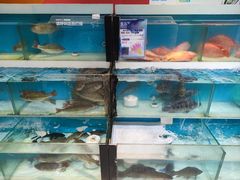 -盒马鲜生(杭州运河上街店)