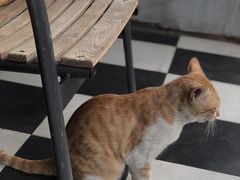 -251#coffee roasters(沿河东路店)