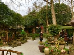 -青城甲(青城山店)