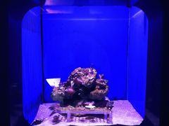 -青岛海底世界-水族馆