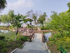 -金银湖国家城市湿地公园