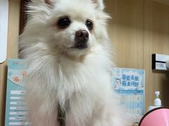-谐和益家动物医院·免疫绝育·血液透析·宠保定点医院(高新伊藤分院)