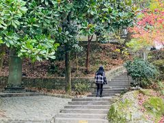 -溪口-滕头旅游景区