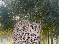 -莲池书院博物馆