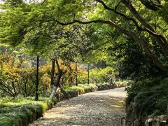 -叶家花园