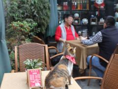 星巴克(锦里店)-星巴克(成都锦里店)