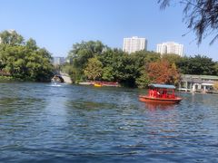 -荔湾湖公园
