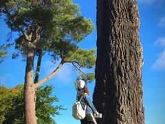 -Pedro's House of Lamb(基督城)