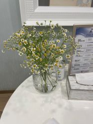-YESIDO椰岛美容