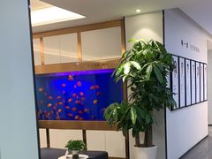 -牙博士口腔品牌连锁(杨浦店)